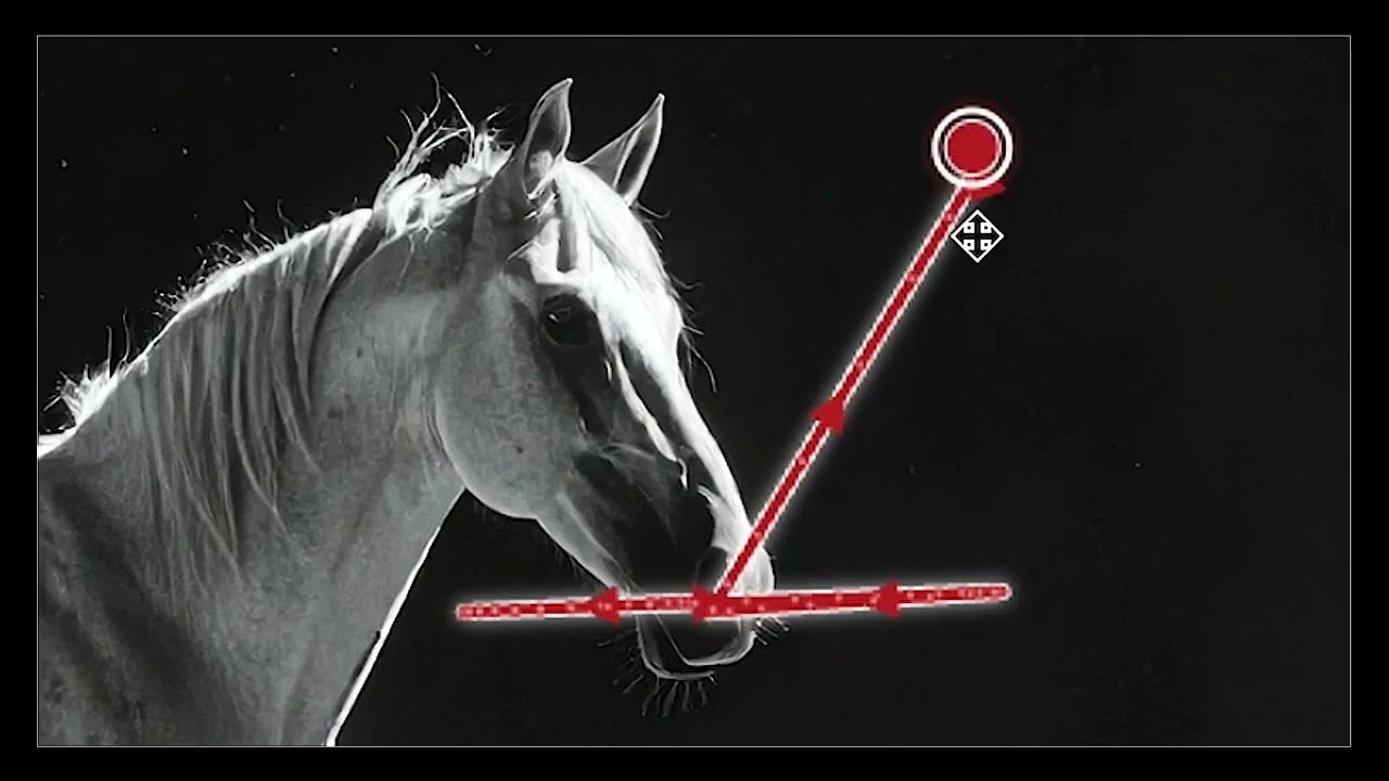 Marey Trajectory Control